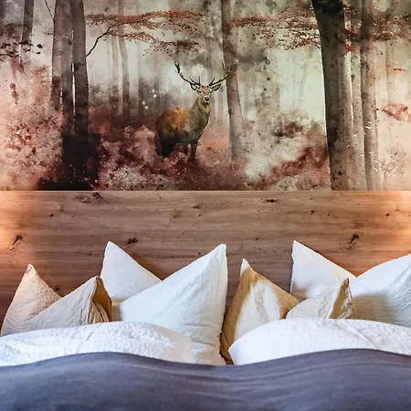 Ifangl Apartmán Mayrhofen